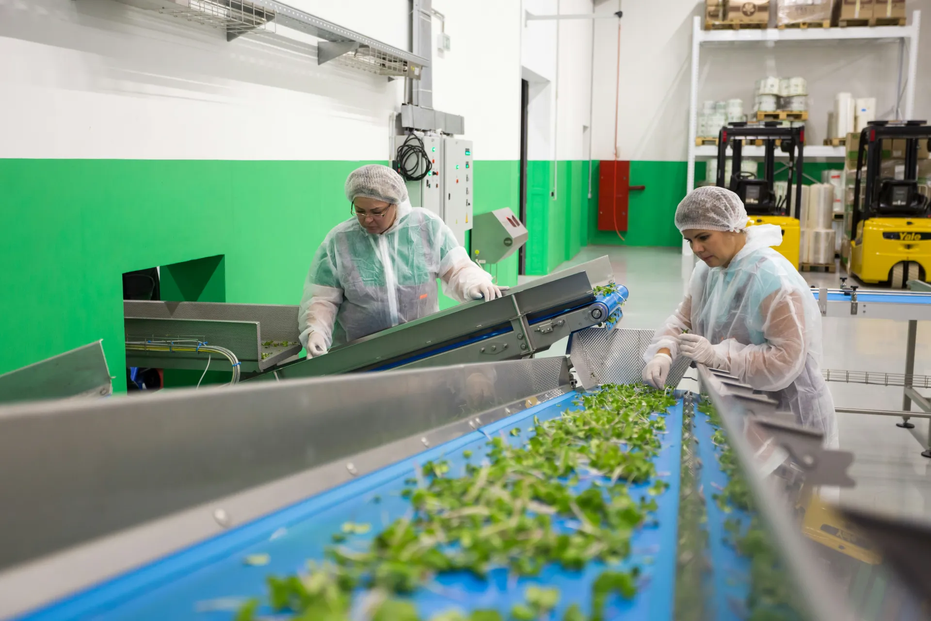 Sistema de bandas transportadoras industriales en planta de producción