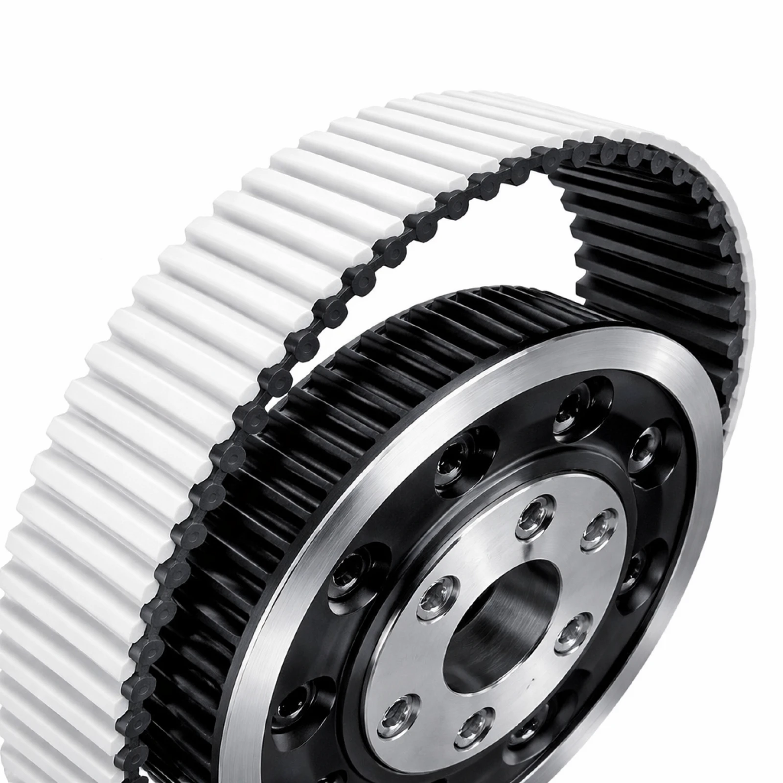 Banda dentada y polea